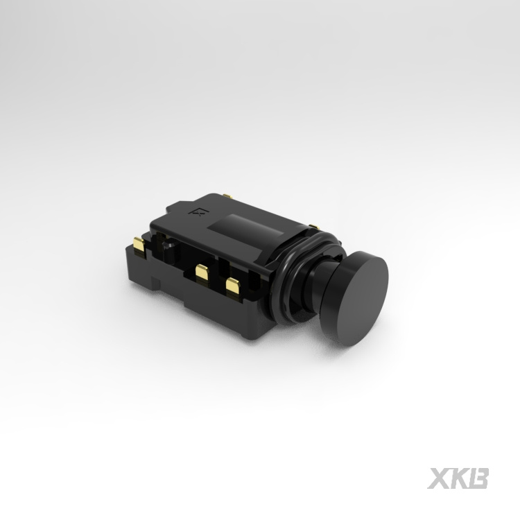XKB